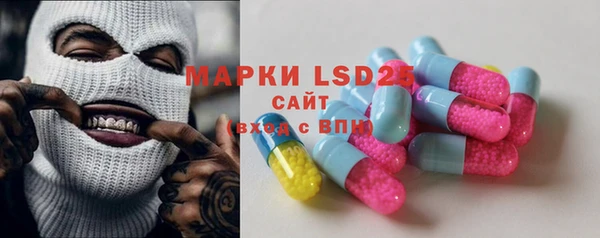 ПСИЛОЦИБИНОВЫЕ ГРИБЫ Слюдянка