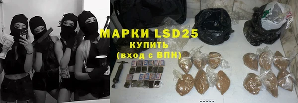 ПСИЛОЦИБИНОВЫЕ ГРИБЫ Слюдянка