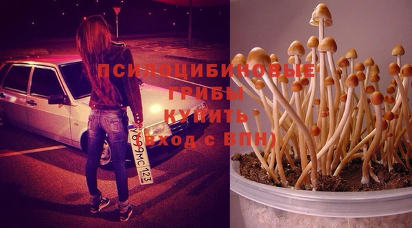 винт Снежногорск