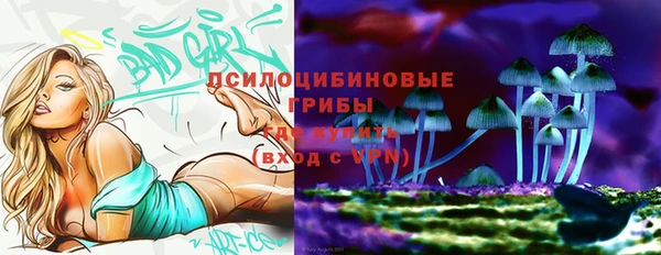 ПСИЛОЦИБИНОВЫЕ ГРИБЫ Слюдянка