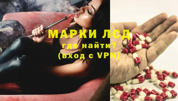 ПСИЛОЦИБИНОВЫЕ ГРИБЫ Слюдянка