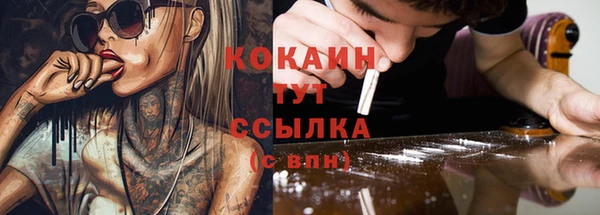 винт Снежногорск